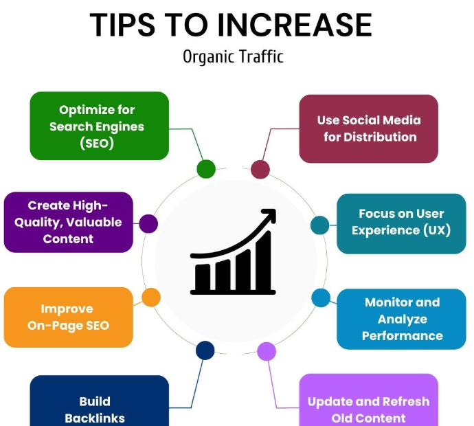 BEST ORGANIC TRAFFIC