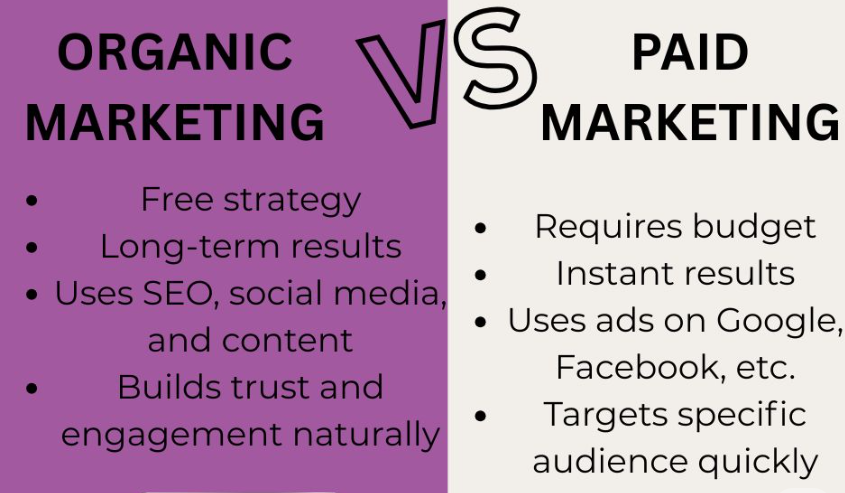 BEST ORGANIC VS PAID